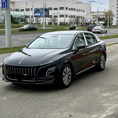 Hongqi — exterior
