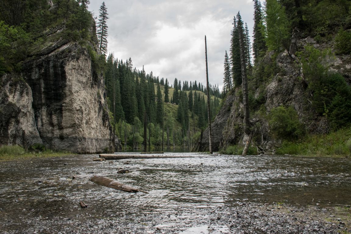 Бирюзовая вода озера Каинды и стволы елей