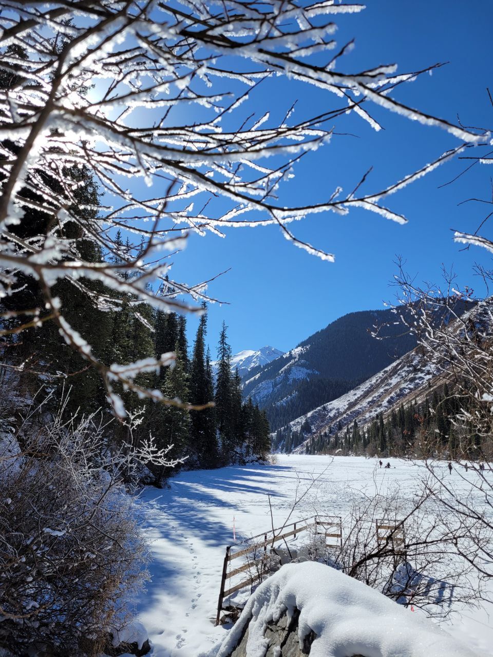 Замёрзшее Кольсайское озеро зимой